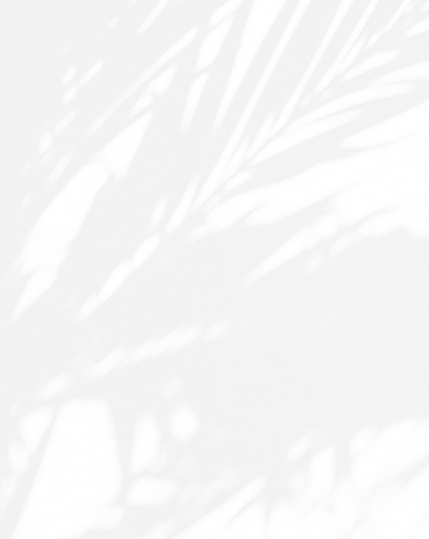 Abstract white background with leaf shadows.