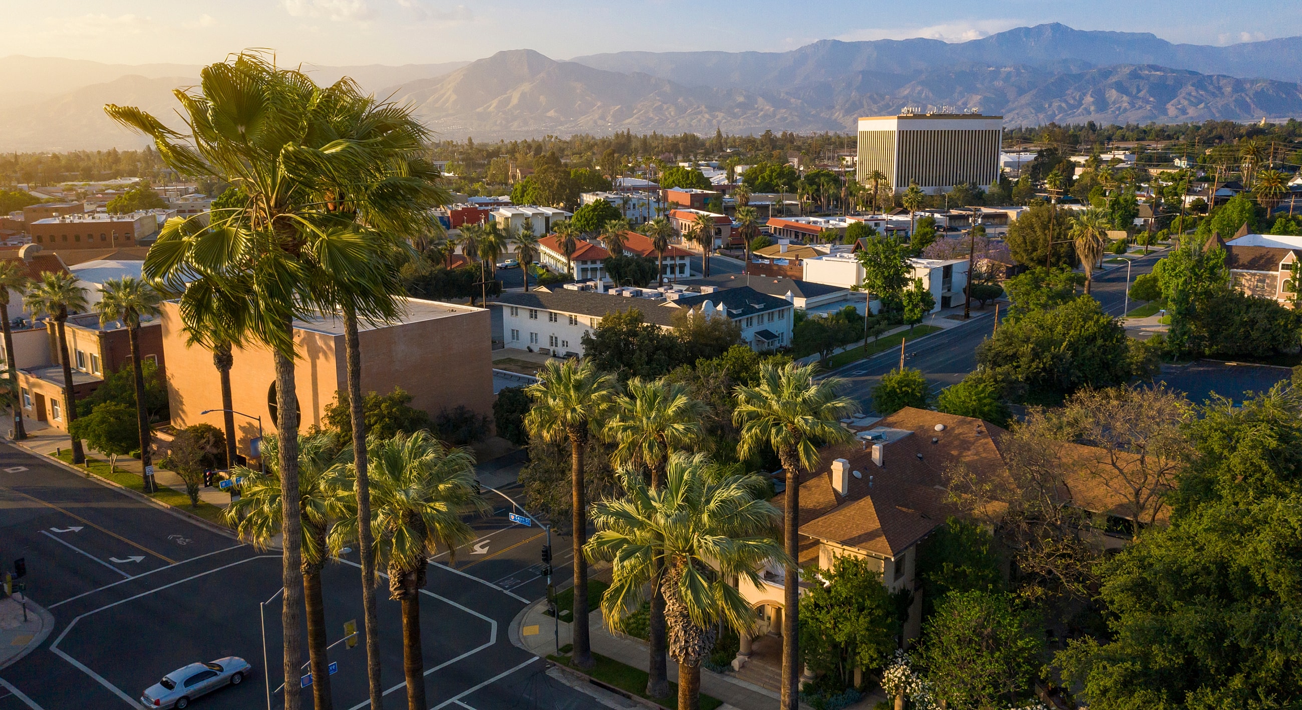 Aerial view of city with palm trees.